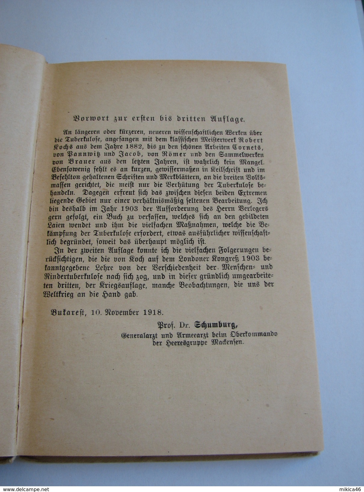 Die Tuberkulose - Schumburg W - 1919 - Old Books