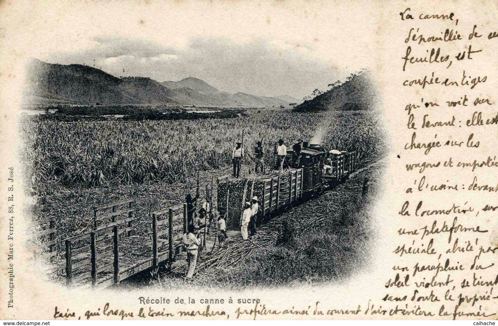 BRESIL - Récolte De La Canne à Sucre - Petit Train à Vapeur - Carte Peu Courante - - Sonstige