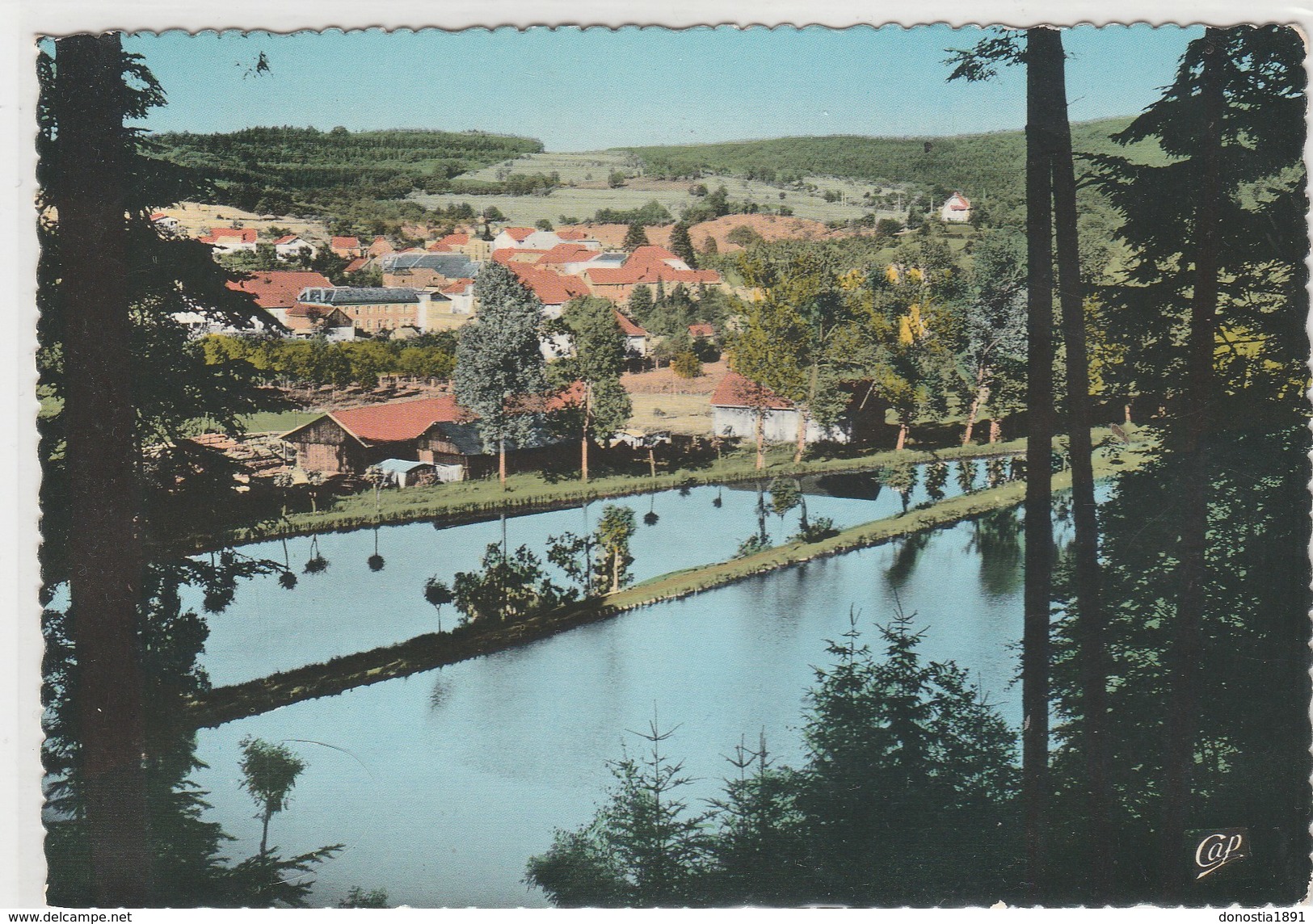 57 (Moselle)  ABRESCHVILLER -  Vue Partielle    - 105x150 Dentelée , Glaçée ; Timbrée 1972 - Other & Unclassified