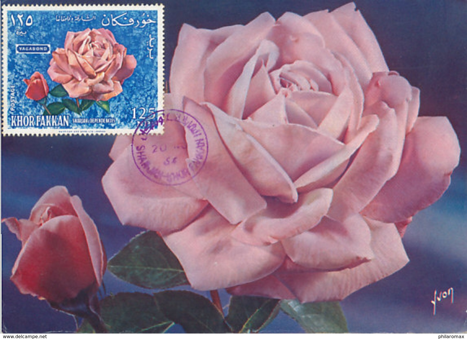 D28651 CARTE MAXIMUM CARD 1966 KHOR FAKKAN SHARJAH - PINK ROSE CP ORIGINAL - Rosen