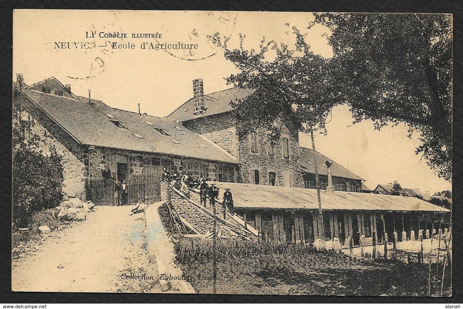 NEUVIC Ecole D'Agriculture (Eyboulet) Corrèze (19) - Autres & Non Classés