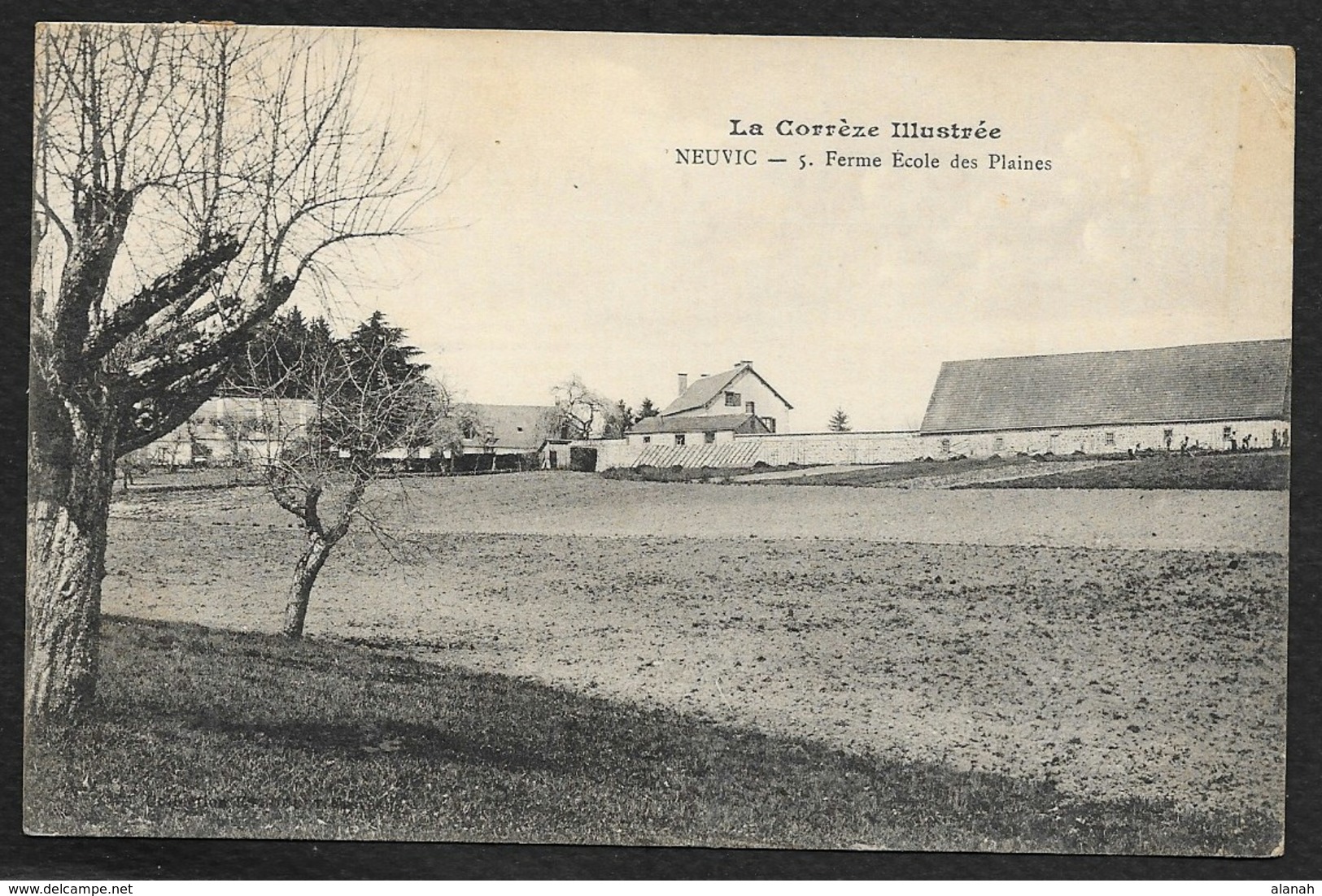 NEUVIC Ferme Ecole Des Plaines () Corrèze (19) - Autres & Non Classés