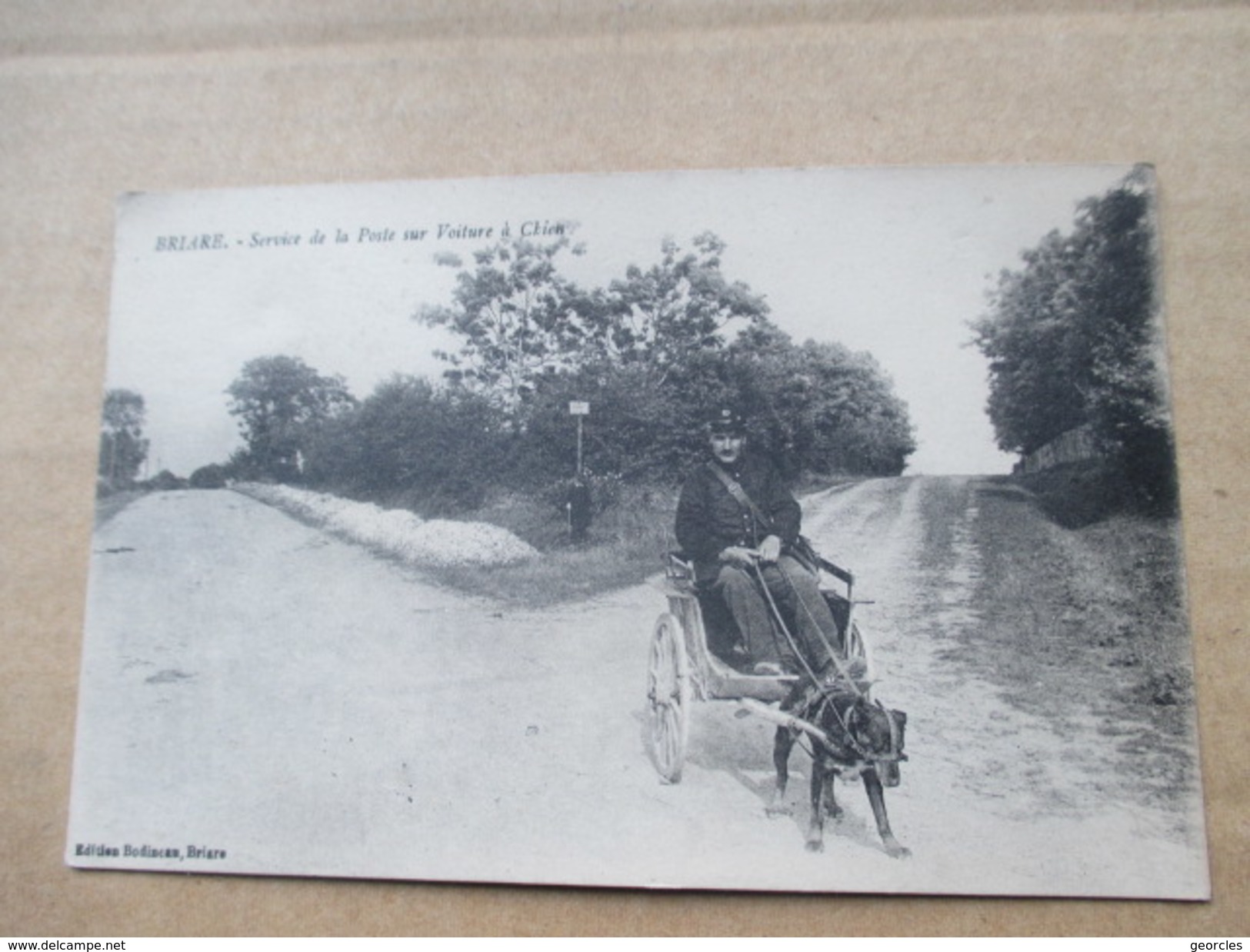 BRIARE  45    VOITURE A CHIEN -  SERVICE DE LA POSTE     TRES ANIME    TTB - Briare