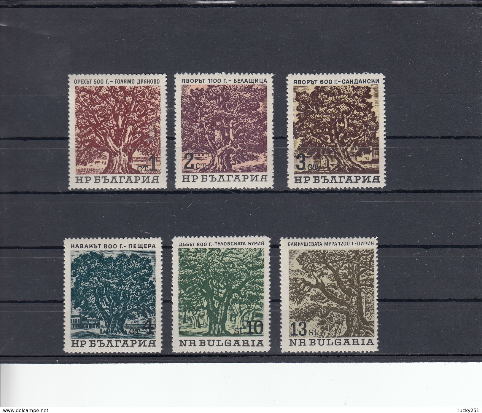 Bulgarie - Neufs**, Arbres  Année 1964 Y.T. 1296/1301 - Nuevos