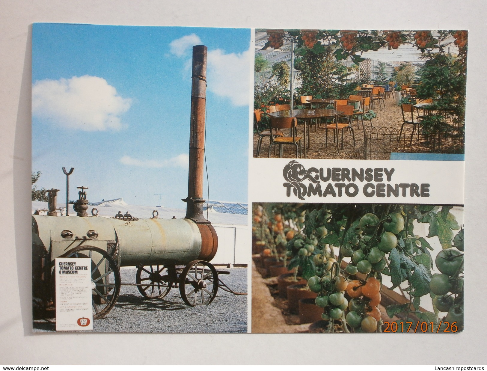 Postcard Multiview  The Guernsey Tomato Centre My Ref B295 - Cultivation