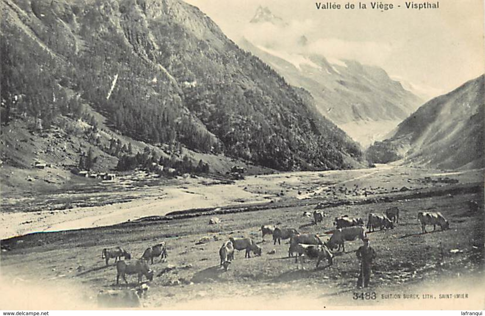 P396- Suisse - Vallee De La Viege - Vispthal   -carte Bon Etat - - Thal