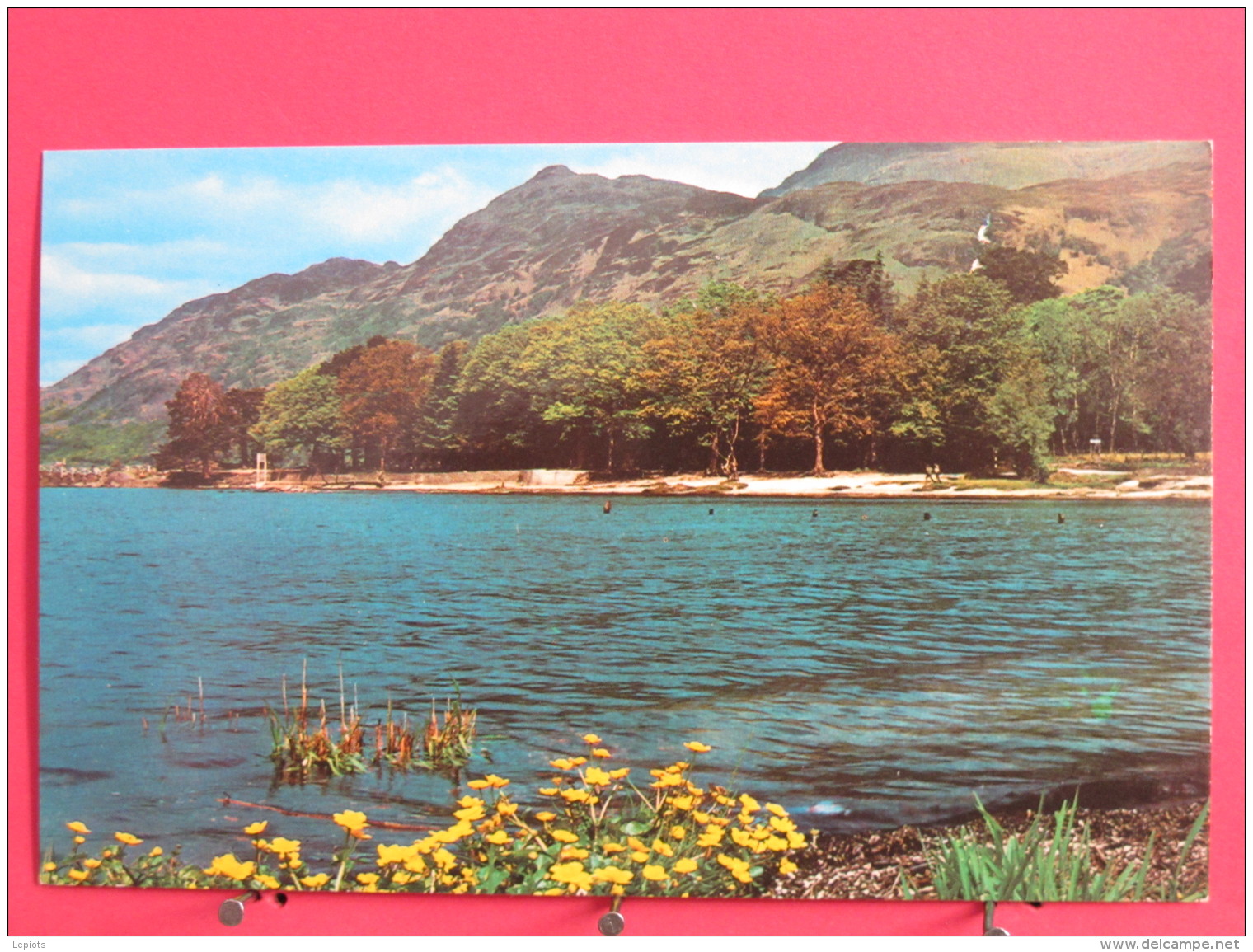 Ecosse - Loch Lomond - Ben Lomond From Rowardennan - Excellent état - Scans Recto-verso - Stirlingshire