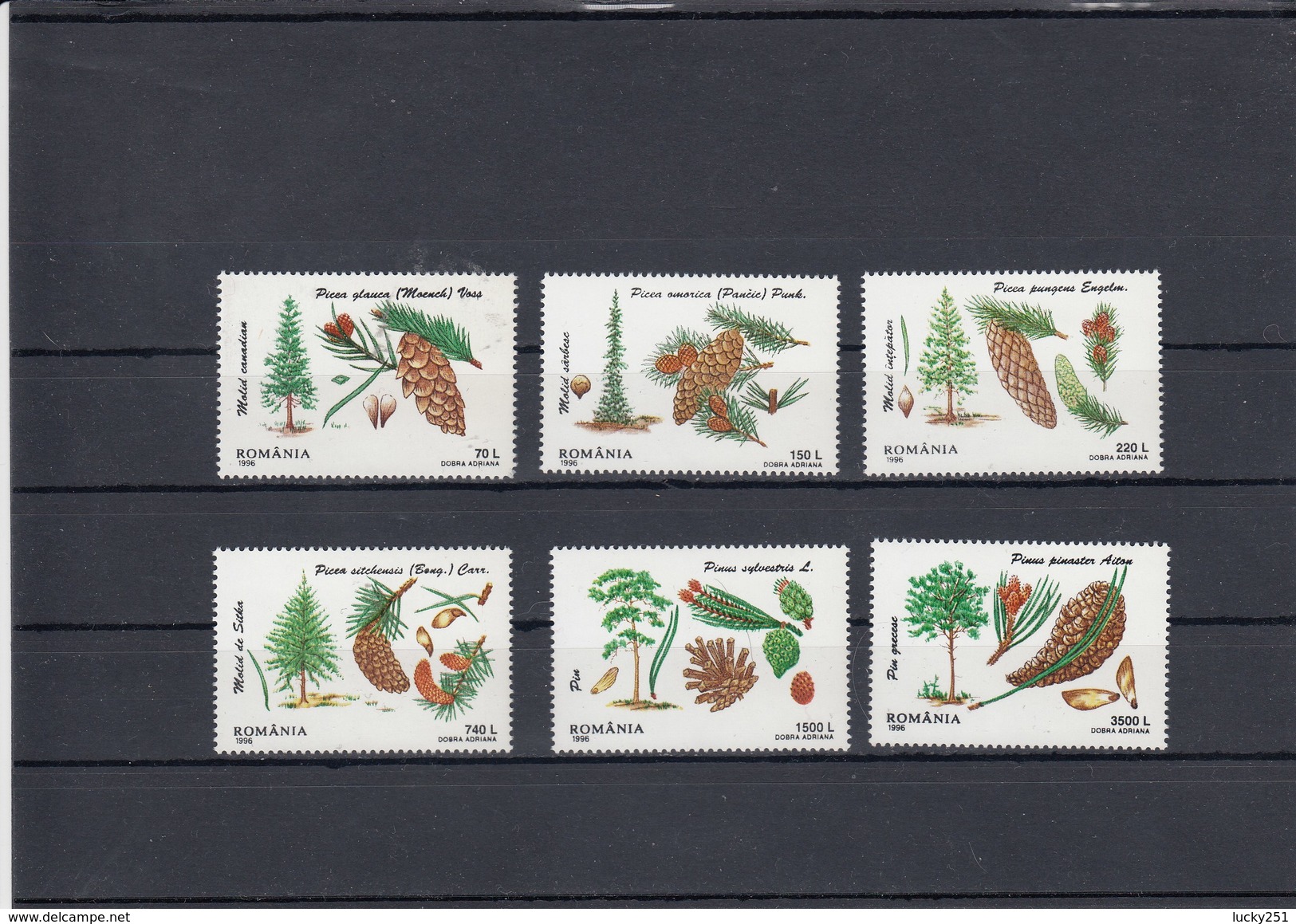 Roumanie - Arbres Neuf**  Année 1996 Y.T. 4342/4347 - Unused Stamps