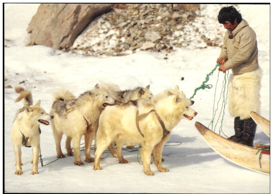 Greenlands Childrens Association Postcard; Qaanaaq, Thule, Greenland, Foto By Rolf Mueller - Greenland