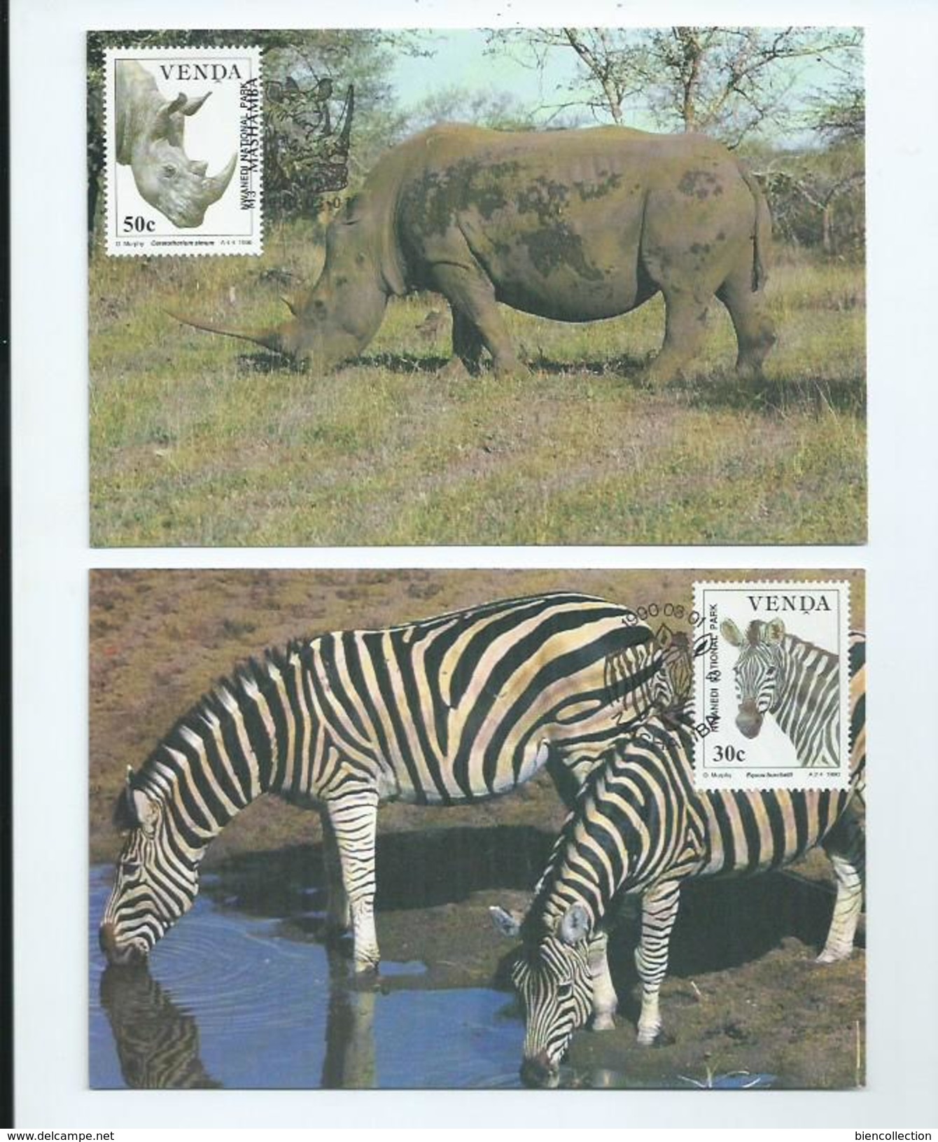 Venda (Afrique Du Sud) 4 Cartes Maximums ,Zèbre,Rhinocéros,Lion,Guépard - Venda