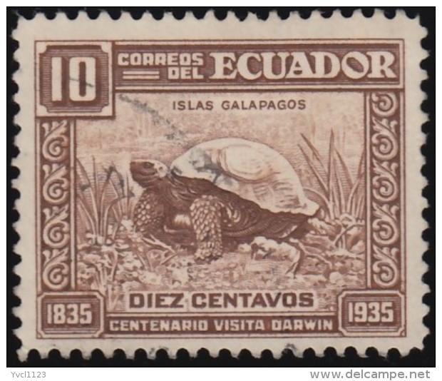 ECUADOR - Scott #342 Chelonoidis Nigra (*) / Used Stamp - Tortues