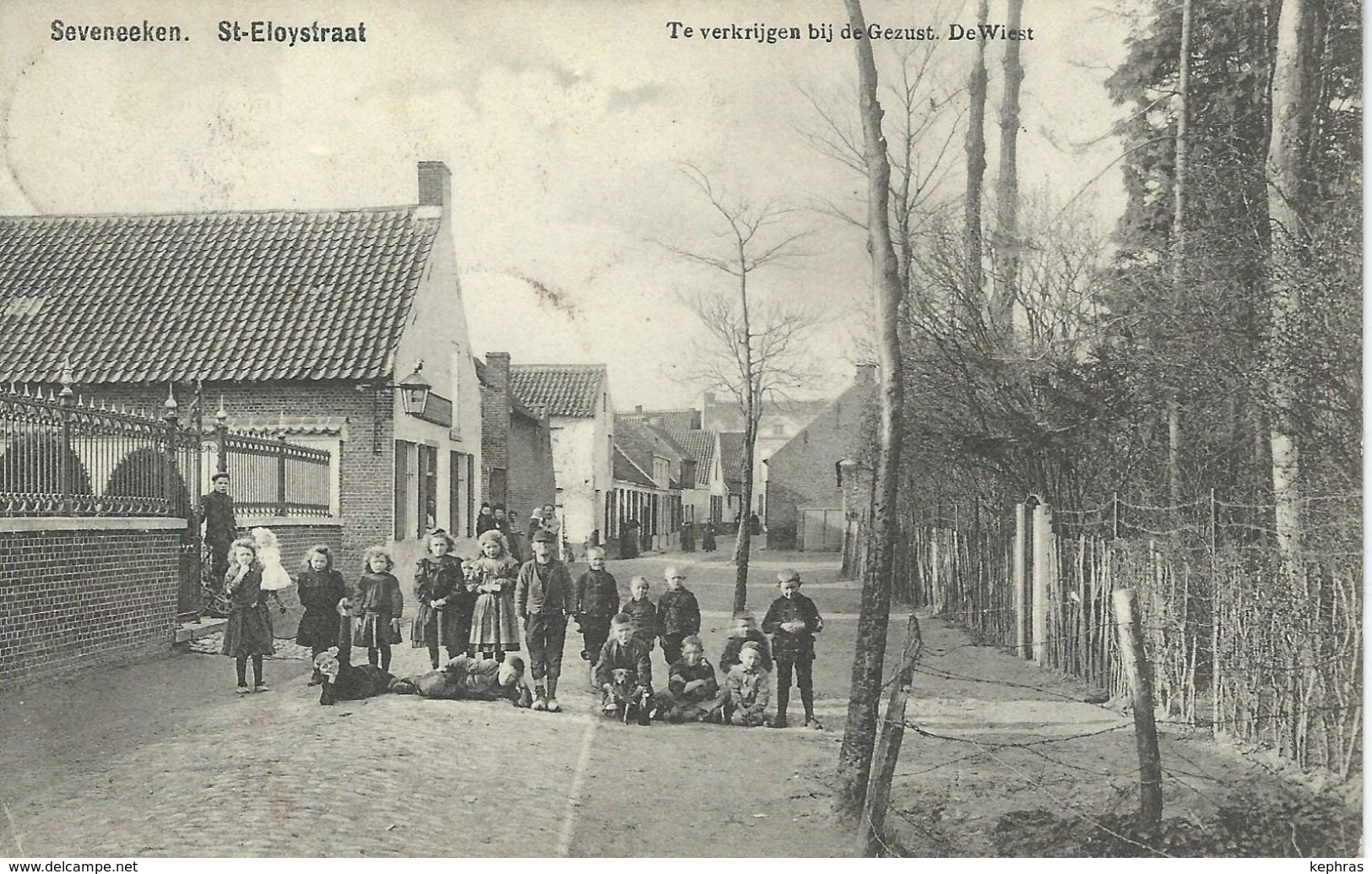 SEVENEEKEN : St-Eloystraat- Cachet De La Poste 1909 - Lochristi
