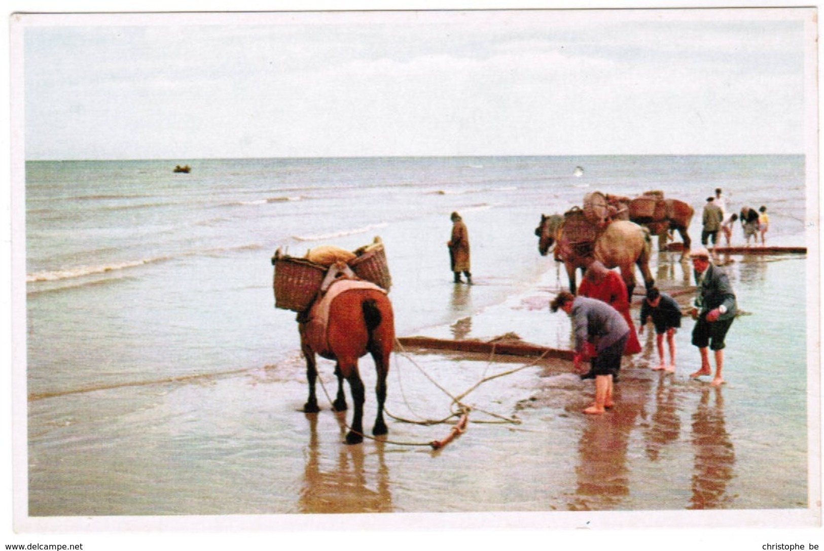 Garnaalvissers, Paardevissers, Pêcheurs De Crevettes (pk32463) - Pêche