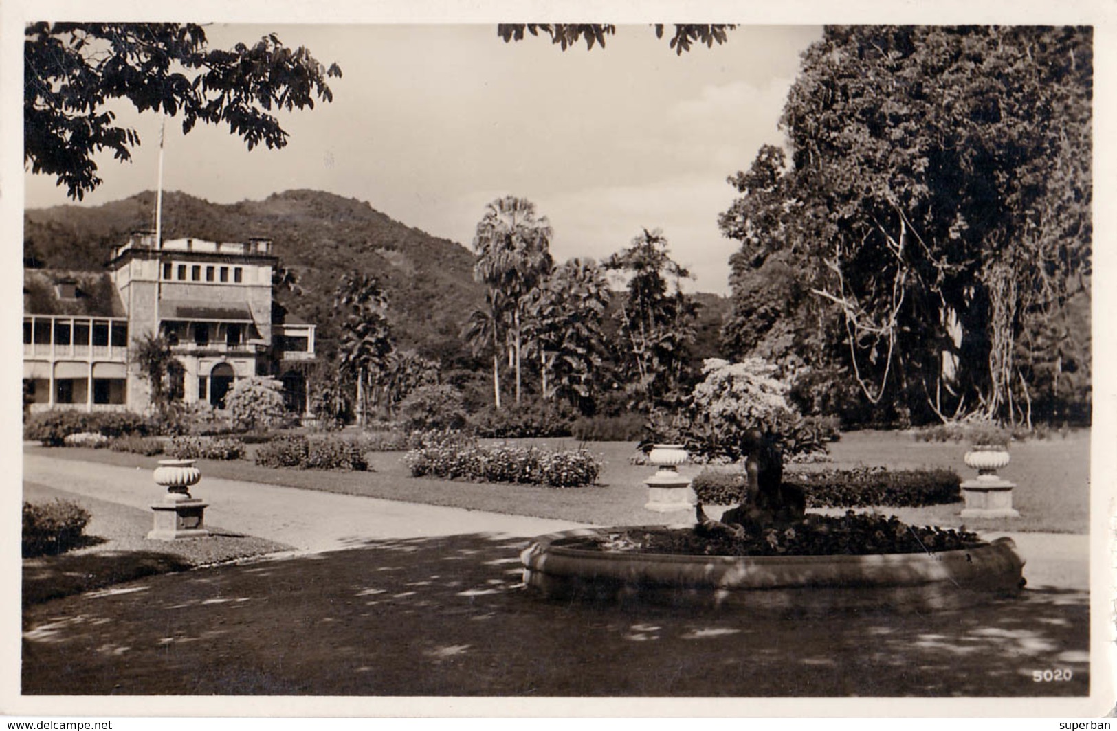 TRINIDAD - PORT OF SPAIN : BOTANIC GARDEN / JARDIN BOTANIQUE - CARTE VRAIE PHOTO / REAL PHOTO POSTCARD ~ 1930 (v-492) - Trinidad