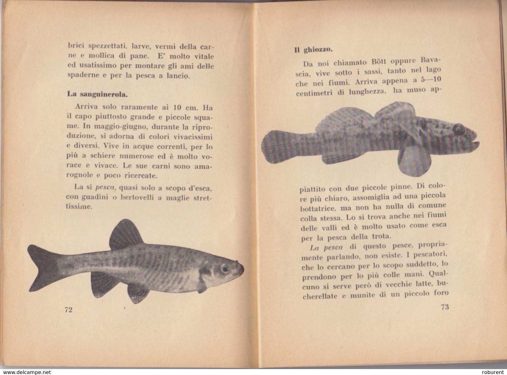 SVIZZERA-"I PESCI DEI LAGHI E DEI FIUMI DEL CANTONE TICINO"-ABITUDINI MODO E SISTEMI DI PESCARLI-34 RIPRODUZIONI FOTOG. - Autres & Non Classés