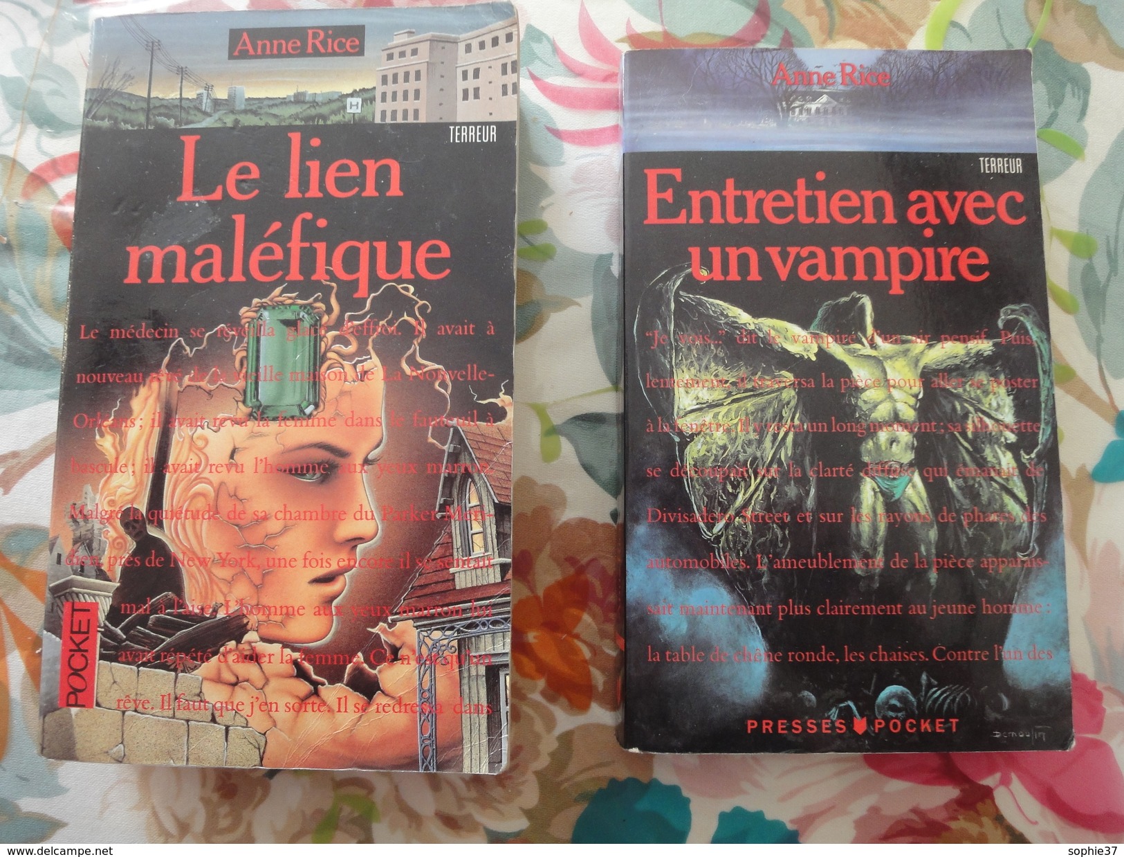 Lot De 2 Livres De Poche Presses Pocket- Thème Terreur Vampirisme - Lots De Plusieurs Livres