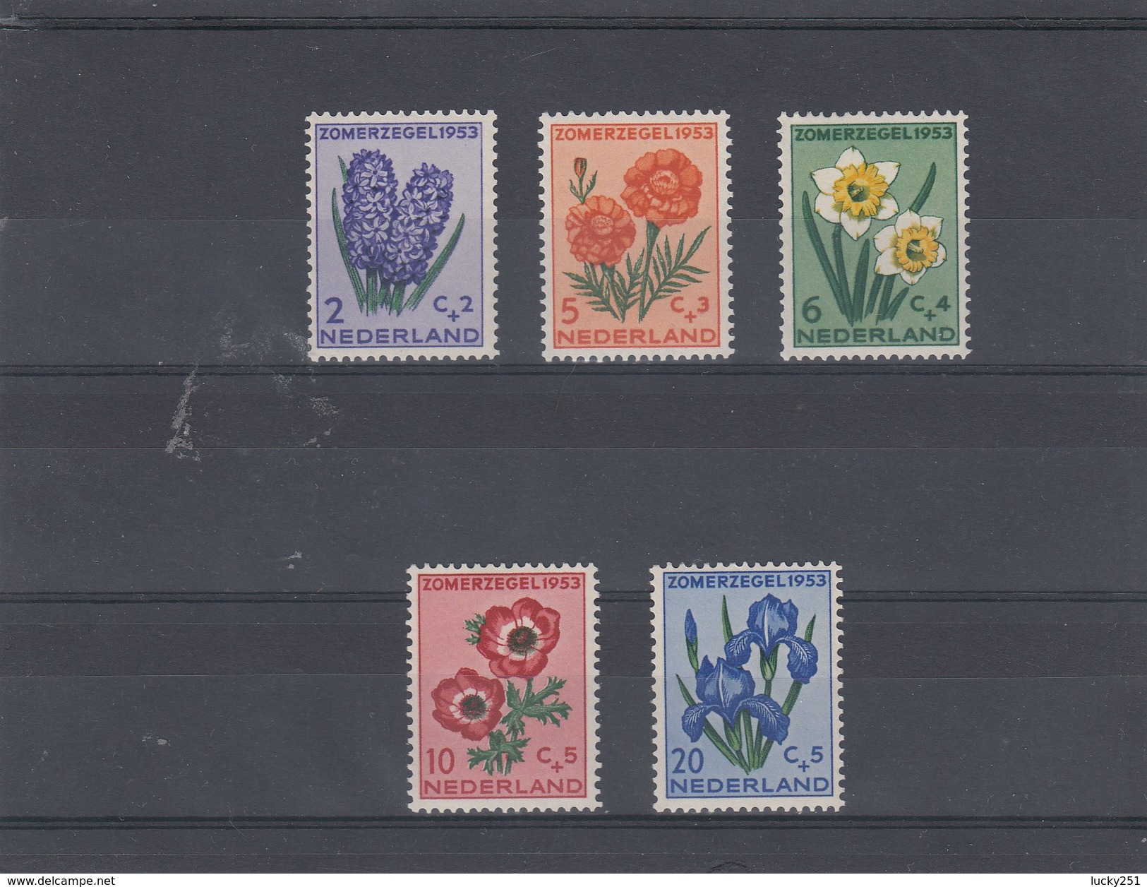 Pays-Bas - Fleurs Diverses - Neufs** - Année 1953 - Y.T. 590/594 - Neufs