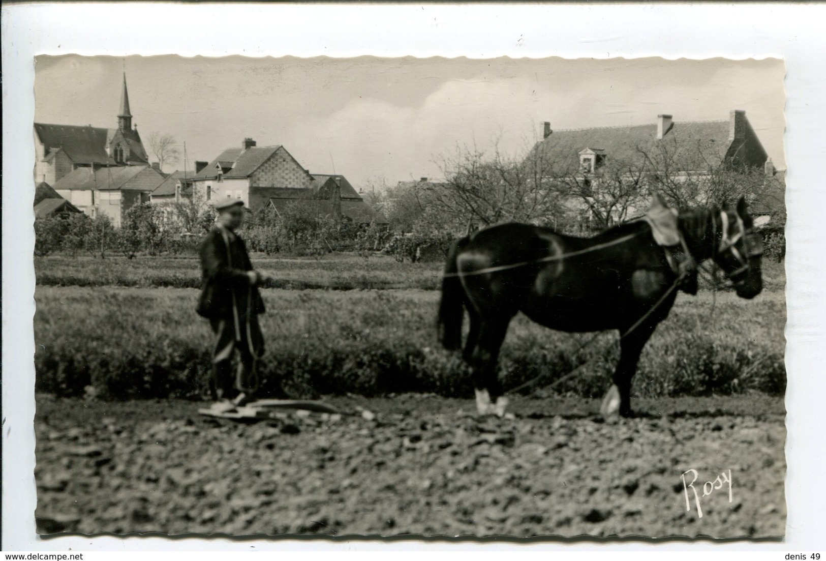 Béhuard Culture Chanvre - Cultures