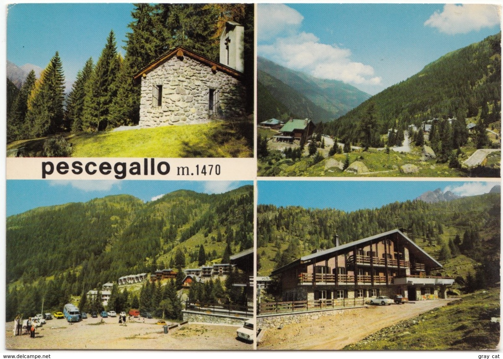 Pescegallo, M.1470, Used Postcard [19361] - Sondrio