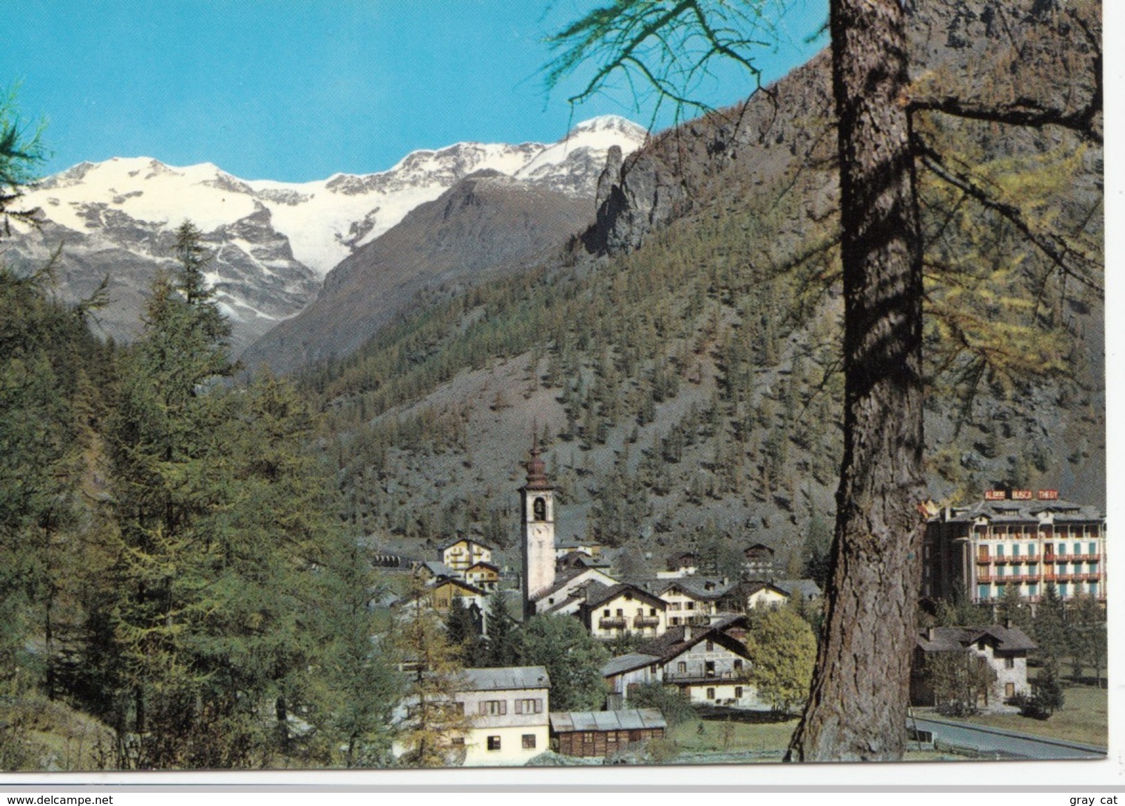 Valle D'Aosta, Gressoney La Trinite M.1637 Panorama E M. Rosa M.4633, Unused Postcard [19381] - Other & Unclassified