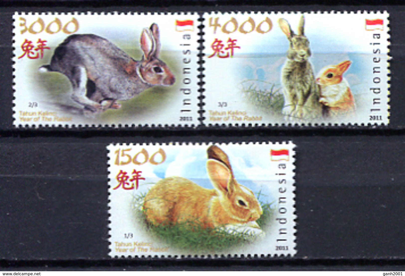 Indonesia 2011 / Mammals Rabbits MNH Säugetiere Conejos / Cu2127  31 - Hasen