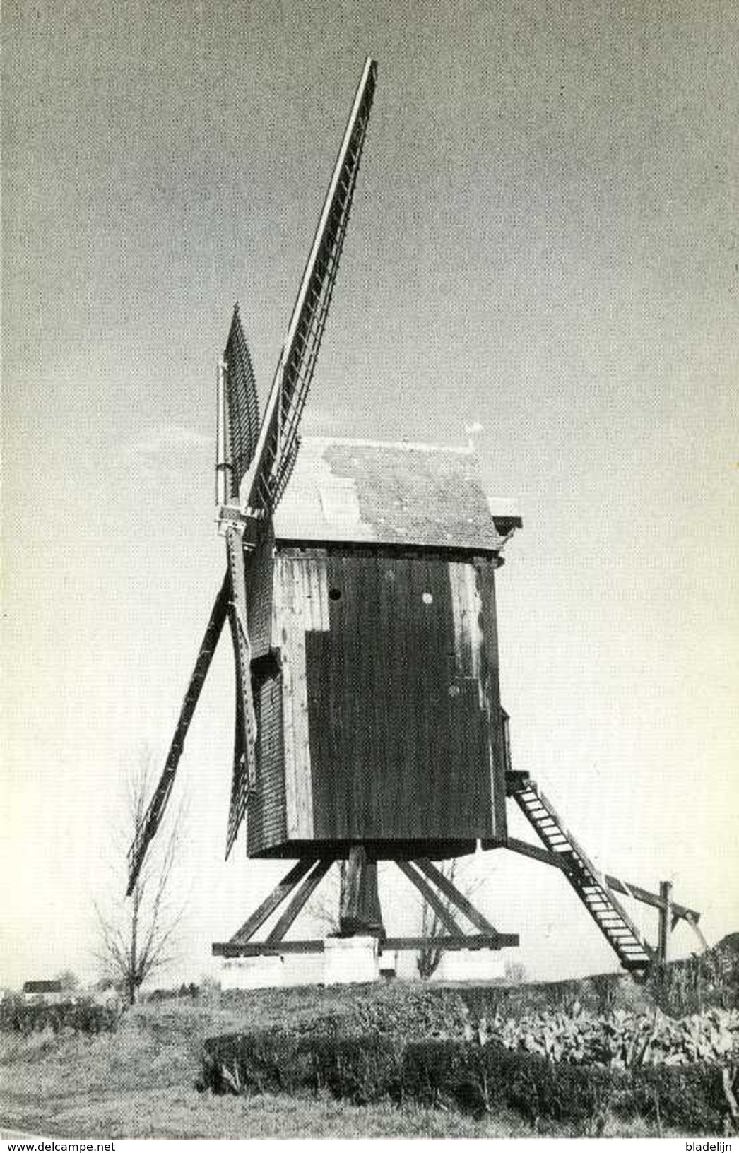 OOSTERZELE (O.Vl.) - Molen/moulin - De Verdwenen "Vinkemolen" In 1977, Voor De Stormramp (provinciale Uitgave) - Oosterzele