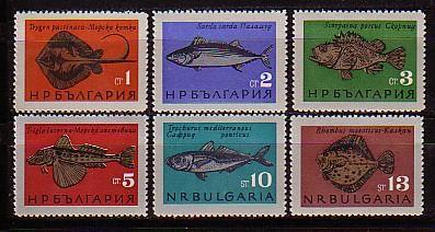 BULGARIA \ BULGARIE - 1965 - Poissons Divers - 6v** - Unused Stamps