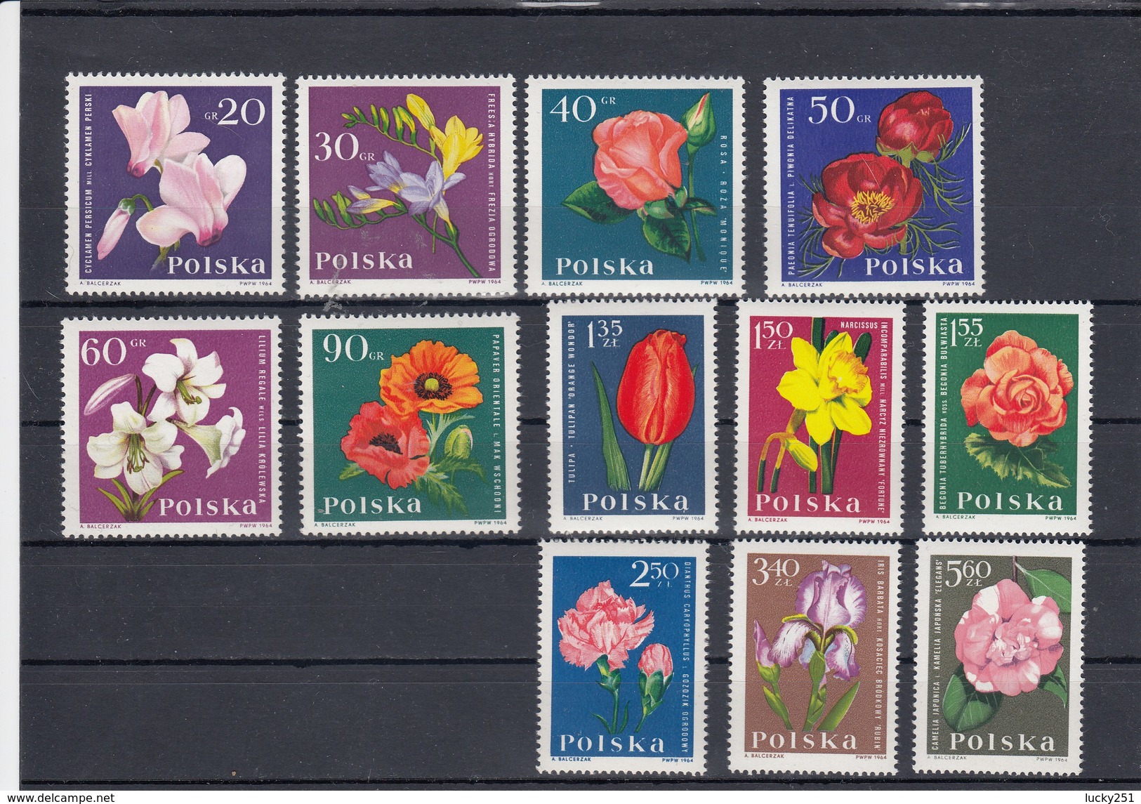 Pologne - Fleurs Diverses - Neufs** - Année 1964 - Y.T. N° 1394/1405 - Nuovi