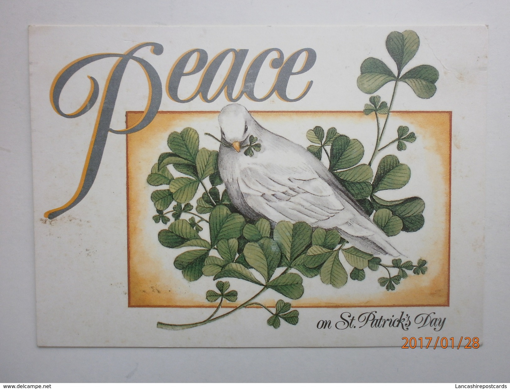 Postcard Peace On St Patrick's Day Shamrock & Dove PU Eire 1993 My Ref B2153 - Saints