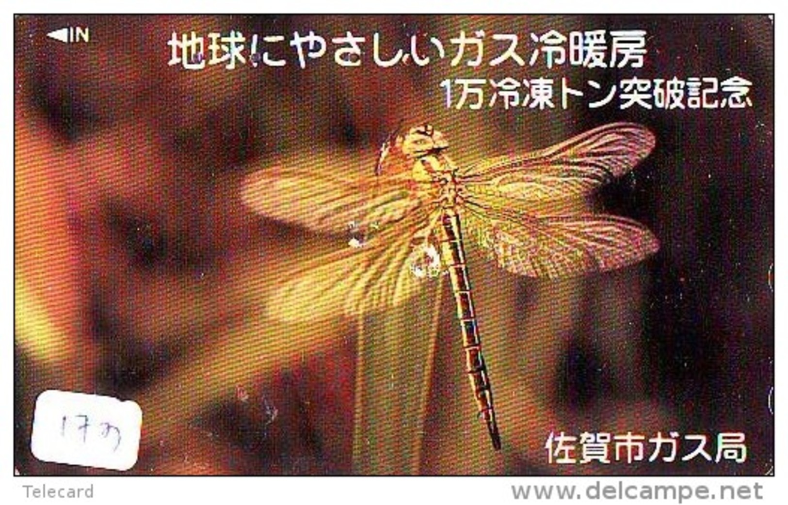 Télécarte Japon * INSECTE * LIBELLULE (173) DRAGONFLY * Japan Phonecard * LIBELLE * Telefonkarte * - Other & Unclassified