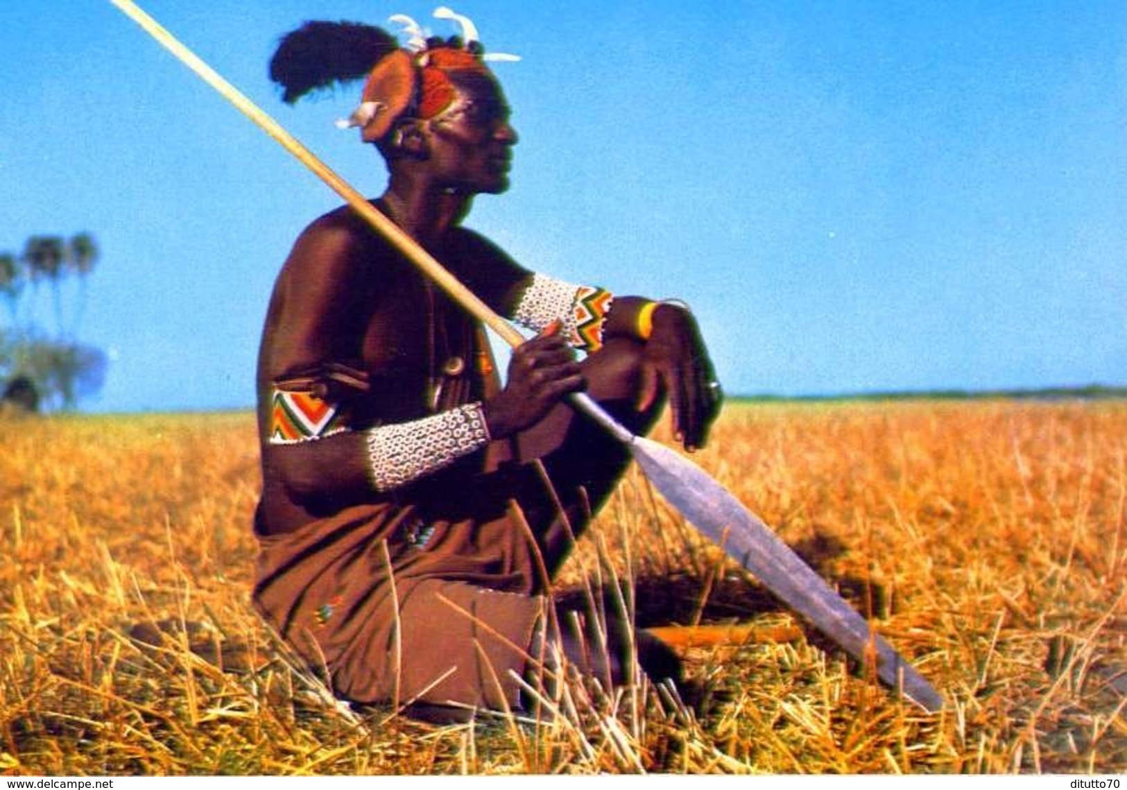 Shullock Warrior - 89-76 - Sudan - Formato Grande Non Viaggiata - E - Sudan