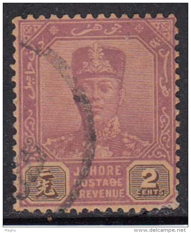 2c Purple &amp; Sepia 1924, Johore Used, Multi Script, 1922 - 1940 Series, Malaya - Johore