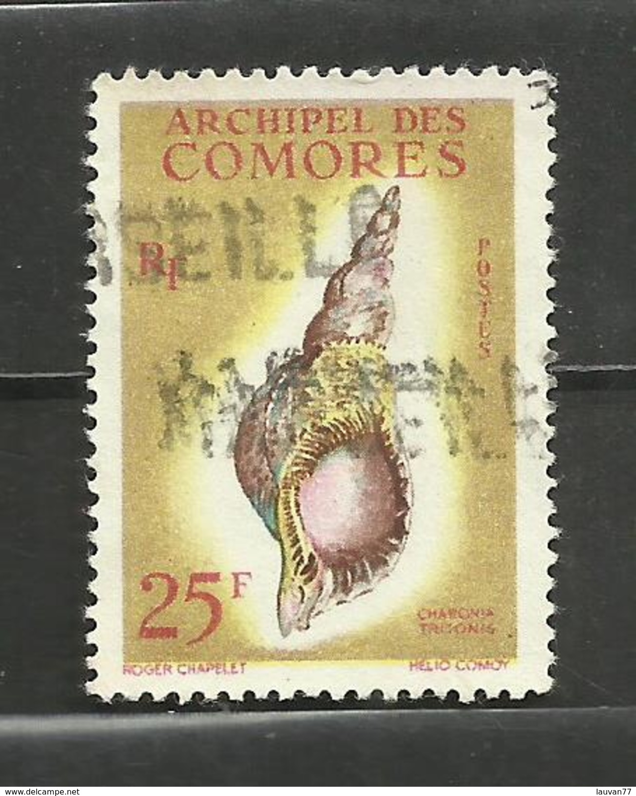 Comores N°24 Cote 16 Euros - Usati