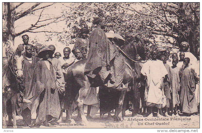 Afrique  Occidentale Française -- Sénégal -- Un Chef Ouolof - Sénégal