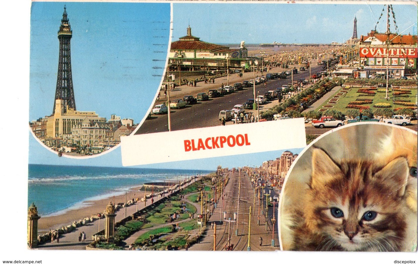 S2291 Small Postcard - Lancashire > Blackpool + OVALTINE AND CAT CHAT GATTO _ WRITED 1967 - Blackpool