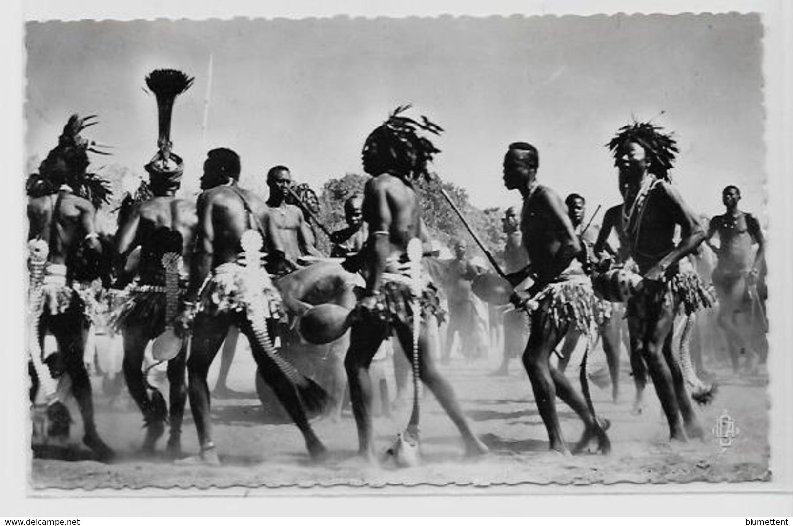 CPSM TCHAD Afrique Noire écrite Type Métier DABA Danses Après La Récolte Du Coton - Chad