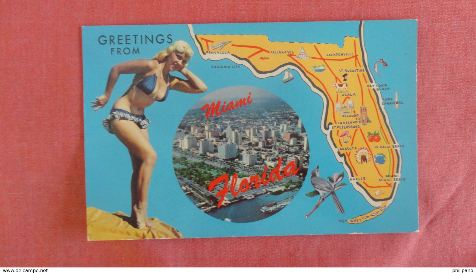 Map---Pin Up--- & Miami View--age Stain Back  - -- Ref 2470 - Pin-Ups