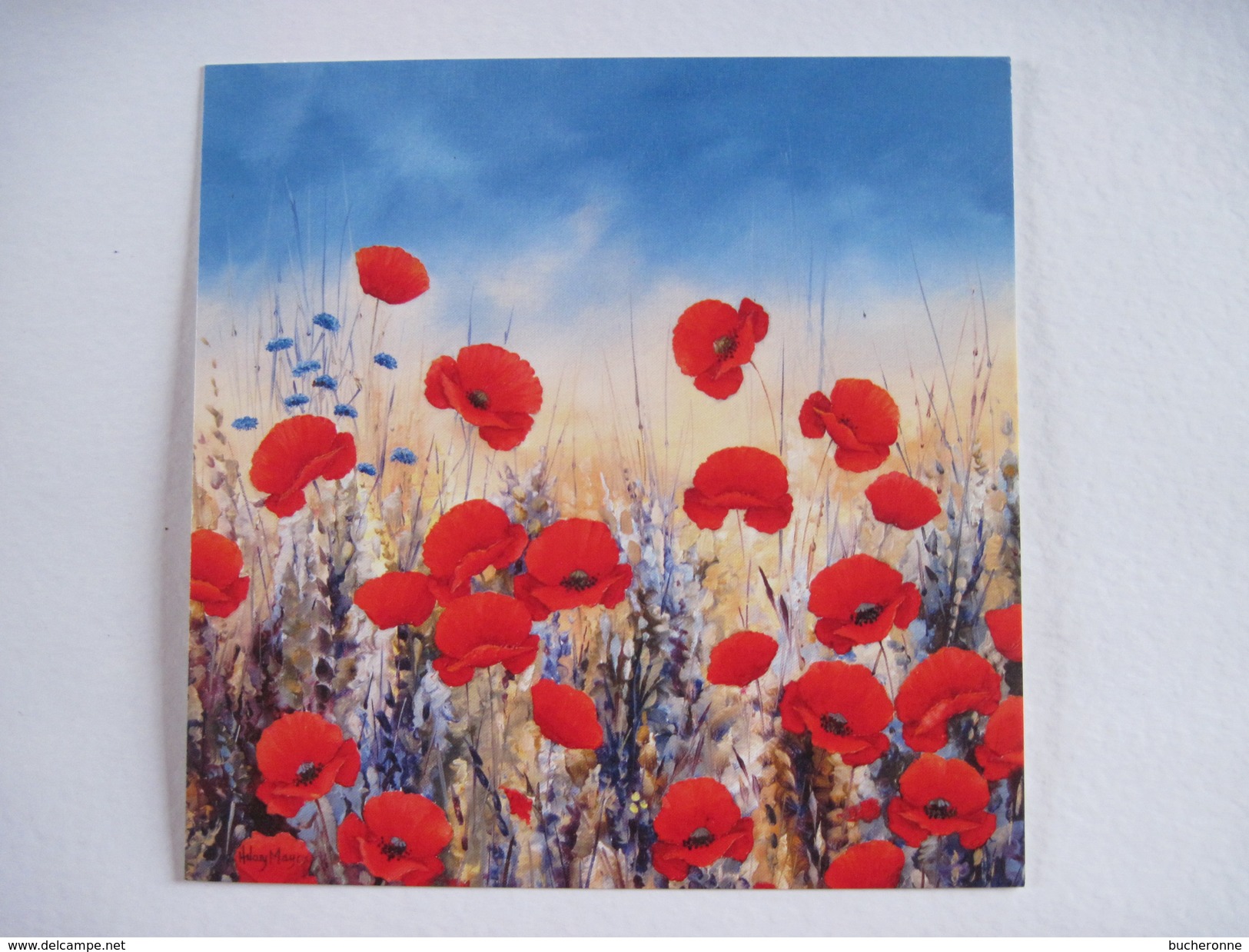 CPM  Sunset Poppies Hilary Mayes T.B.E.  14 X 14 Cm Les Coquelicots - Pittura & Quadri