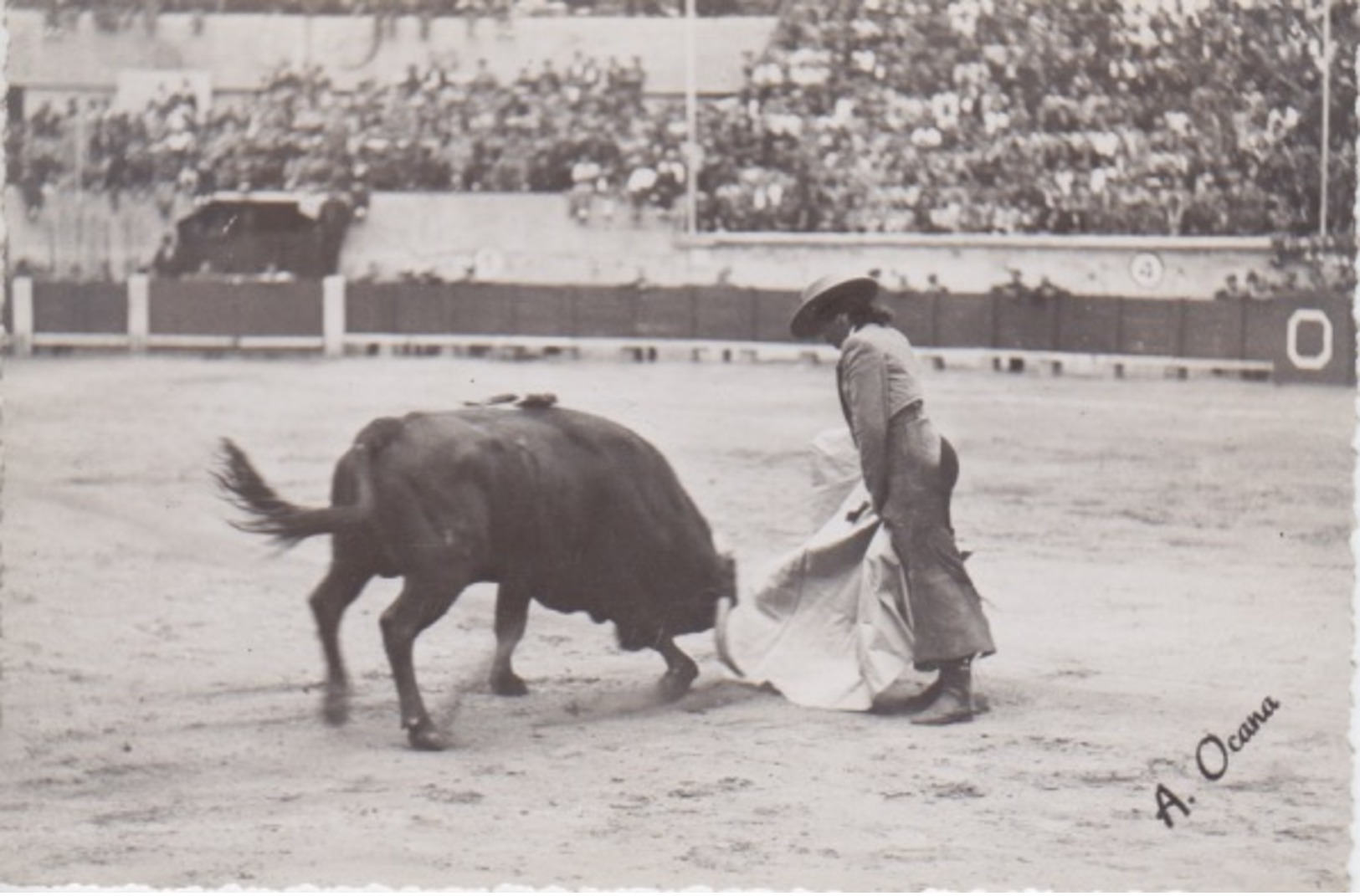 CATOLINA FOTOGRAFICA - "TOROS Y TOREROS" - CONCHITA CINTRON - 26-9-1948 - 26-JUGNO 1949 - FOTOGRAFIA  A. OCANA - Corrida