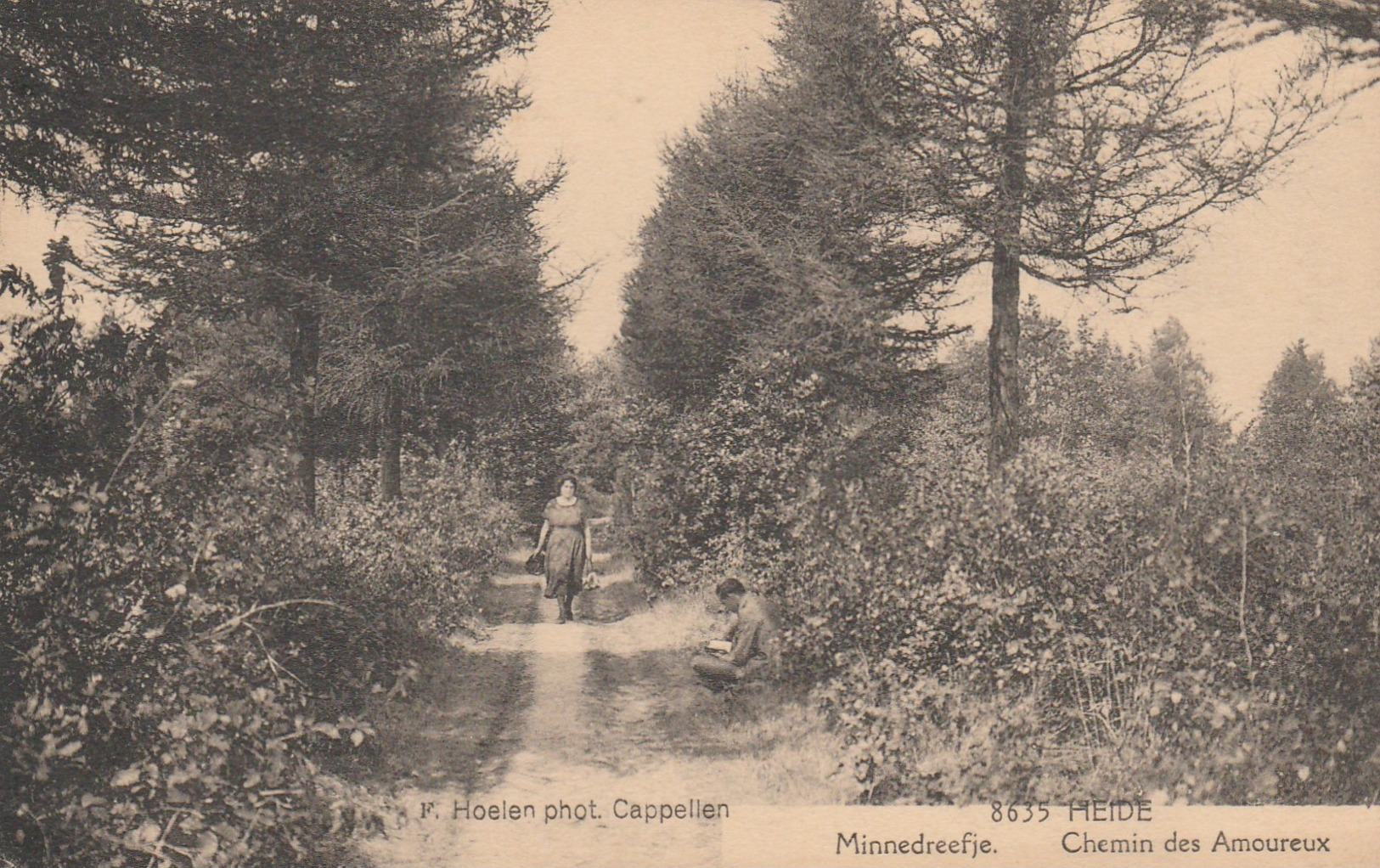Heide-Calmpthout , Minnedreefje ,Chemin Des Amoureux  ,(F.Hoelen ,Cappellen ,8635) - Kalmthout