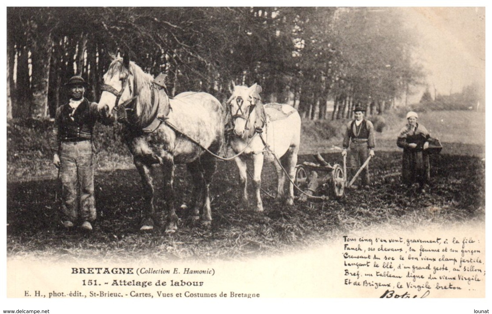 Bretagne (Collection E. Harmonic) Agriculture - Attelage De Labour (Folklore, Costumes Scènes Et Types) - Attelages