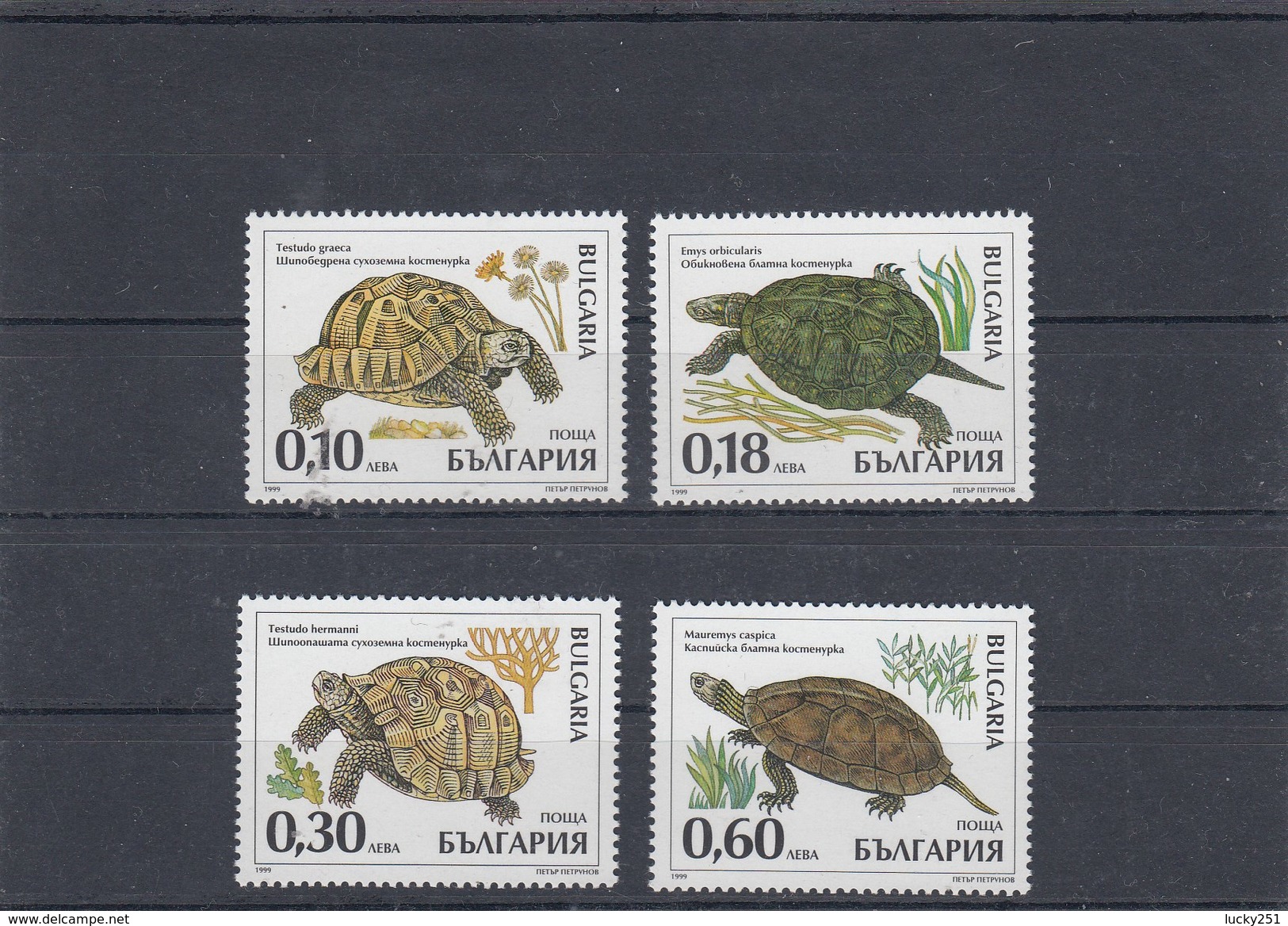 Bulgarie - Reptiles - Neufs** - Année 1999 - Y.T. N° 3836/3839 - Nuovi