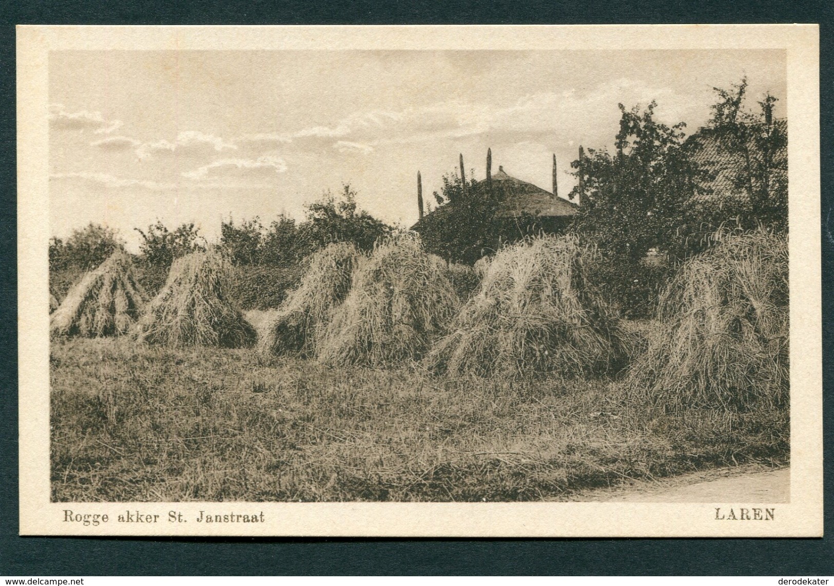 ROGGE AKKER ST.JANSTRAAT LAREN.UITG.G.J.HAAS.E&B.ONGELOPEN.VIJF ROEIER.RYE FIELD.CHAMP DE SEIGLE.AGRICULTURE EXCELLENT. - Laren (NH)