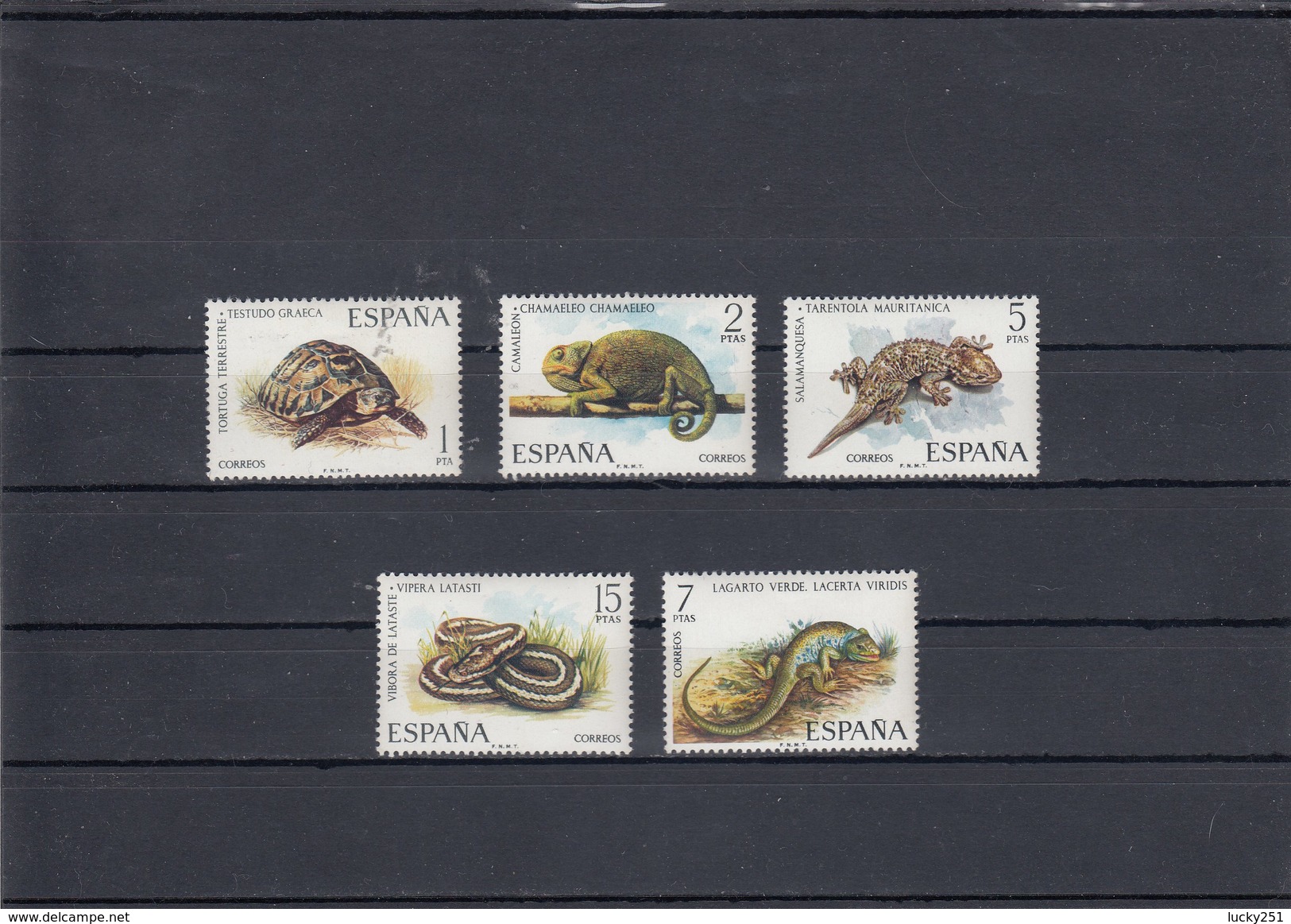 Espagne - Reptiles - Neufs** - Année 1974 - Y.T. N° 1847/1851 - Nuovi