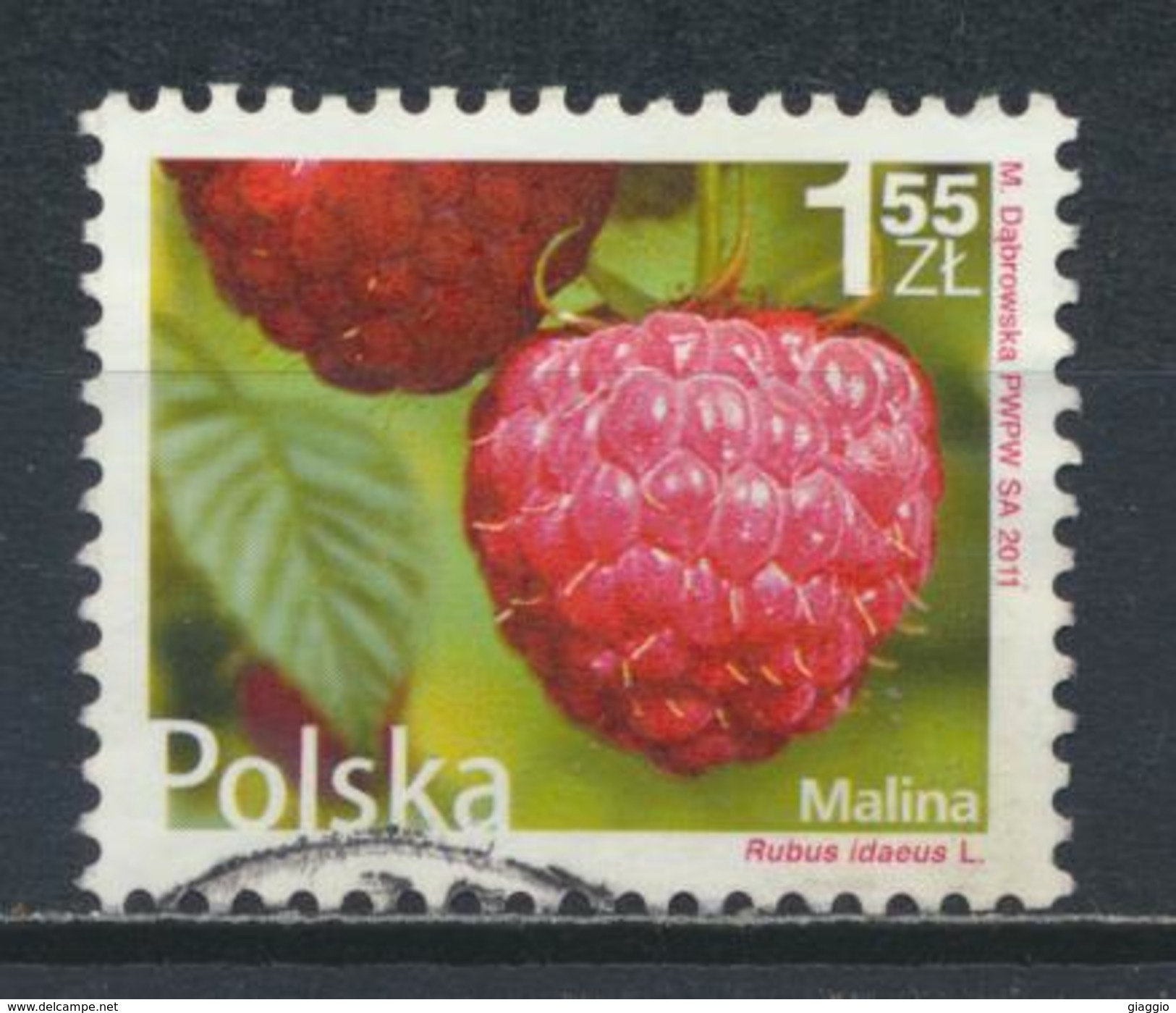 °°° POLONIA POLAND - Y&T N°4261 - 2011 °°° - Usados