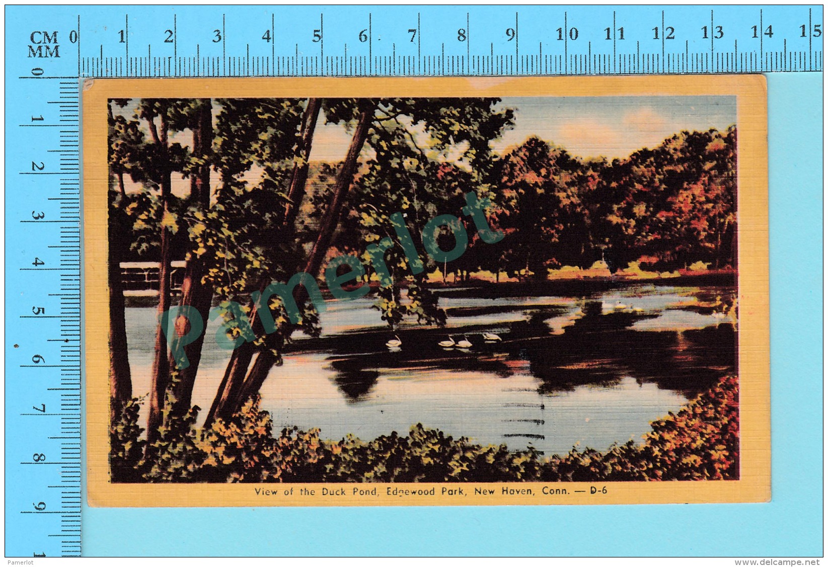 New Haven Conn. - Linen Duck Pond Edgewood Park, Used In 1951 + 1&cent; Stamp  - 2 Scans - New Haven