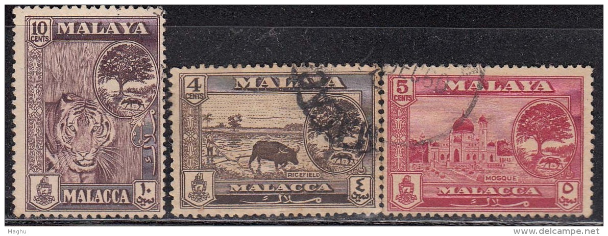 3v / 3 Diff., Used Malacca 1960, Malaysia Malaya Tiger Rice Field Agriculture Cattle Animal Tree Mosque (sample Image) - Malacca