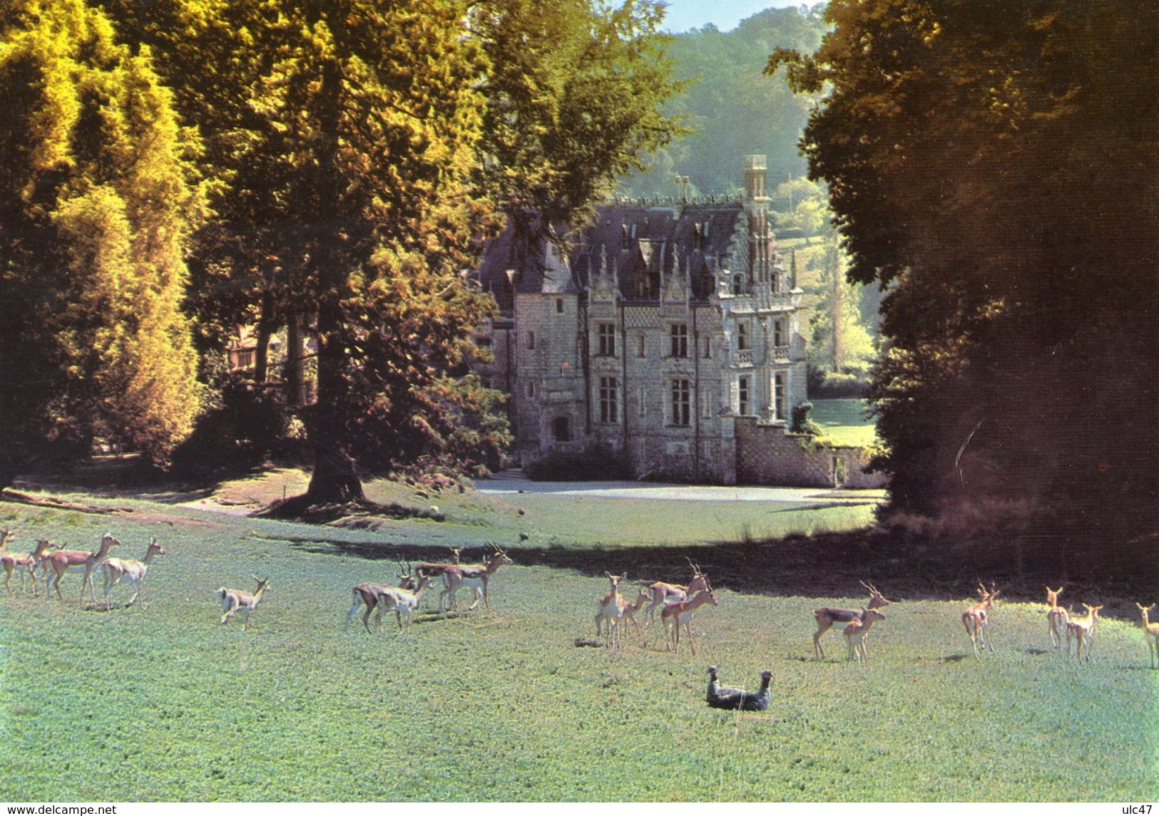 - 76 - Parc Zoologique De CLERES. - Le Château Et Les Antilopes Cervicapres. - Léger Pli, Voir Scan - - Clères