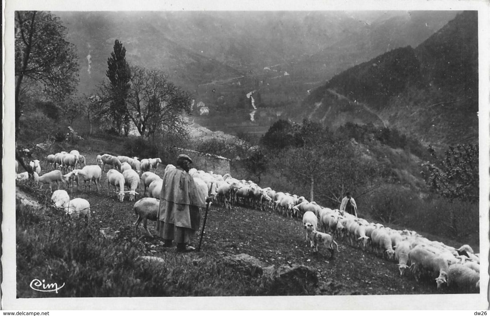 Chatillon-en-Diois (Drôme) - Berger Et Son Troupeau De Moutons Communal Dans Les Montagnes - Edition Combier - Carte CIM - Châtillon-en-Diois