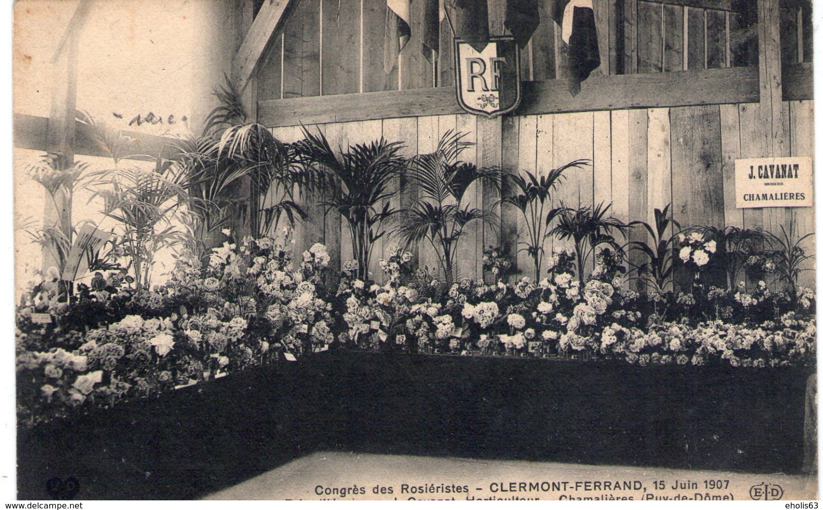 Clermont-Ferrand - Congrès Des ROSIERISTES - 15 Juin 1907 - J. CAVANAT , Prix D'honneur - BE+ - Clermont Ferrand